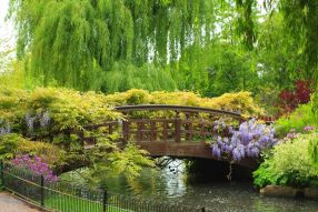 Фотообои Мост через речку в саду