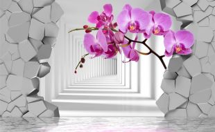 Фреска Яркие 3Д орхидеи за стеной