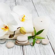 Фреска Белая орхидея