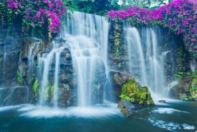 Фреска Водопад с цветами
