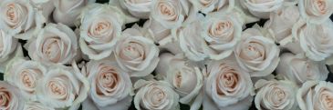 Фреска Белые розы