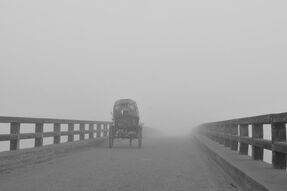 Фотообои Повозка в тумане на старом мосту